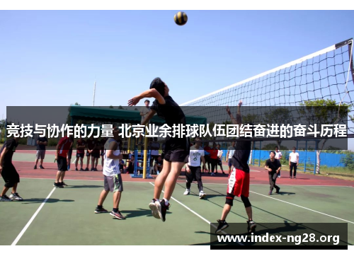 竞技与协作的力量 北京业余排球队伍团结奋进的奋斗历程