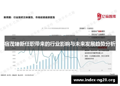 宿茂臻新任职带来的行业影响与未来发展趋势分析